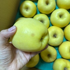 はるかりんごの画像