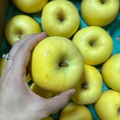 はるかりんごの画像