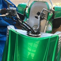 早い者勝ち⭕️トライク マグザム250の画像