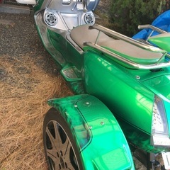 早い者勝ち⭕️トライク マグザム250の画像