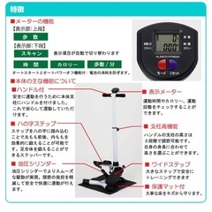 ハンドル付ステッパーの画像