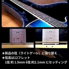 ★エレアコ★Craftman EA500 BLB★グリーン系・虎杢トップが美しい♪の画像