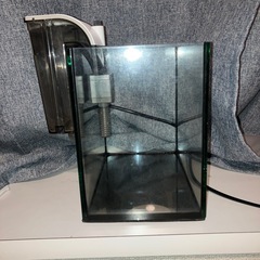 水槽　コトブキレグラス黒フチの画像