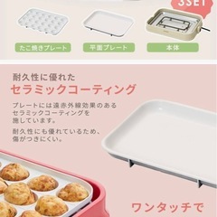 アイリス　ホットプレート 着脱式 2枚の画像