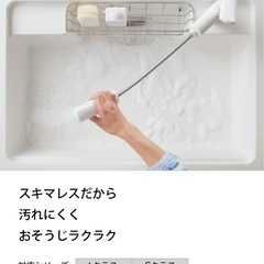 ラクシーナ　ラックの画像