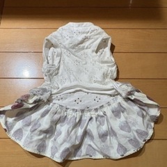 犬服2枚セット
の画像