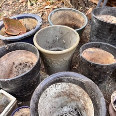 【決定】植木鉢　無料の画像