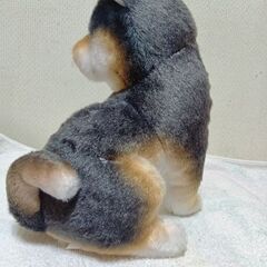 こっちおいで　柴犬ぬいぐるみの画像