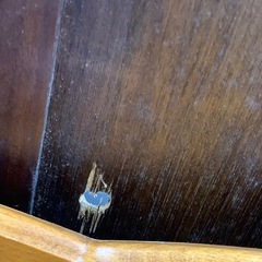 美原店 アンティーク カップボード 飾り棚 ディスプレイ　店舗什器の画像