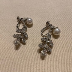 ネックレス、イヤリングの画像