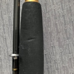 ダイワ　ルアーニスト　レガリス　の画像