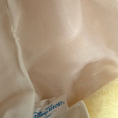 ドナルド　ファンキャップ
の画像