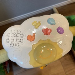 プーメリーの画像