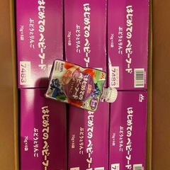 【詳細注意】はじめてのベビーフード 1個の画像