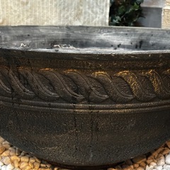 金魚・メダカ鉢の画像