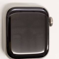 Apple Watch Edition Series 6/GPS+セルラー/40mm/A2375/チタニウム〈MJ4M3J/A〉 (1)の画像