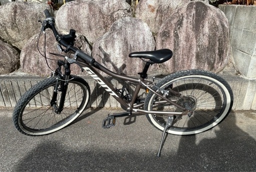Giant XTC Jr. 24   