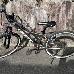 Giant XTC Jr. 24   の画像