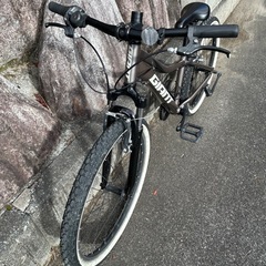 Giant XTC Jr. 24   の画像