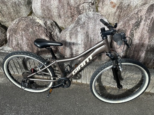 Giant XTC Jr. 24   