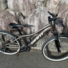 Giant XTC Jr. 24   の画像