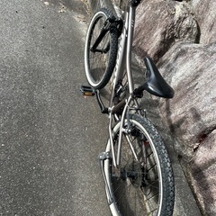 Giant XTC Jr. 24   の画像