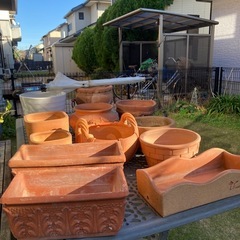 素焼きの植木鉢　白い鉢の画像