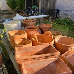 素焼きの植木鉢　白い鉢の画像