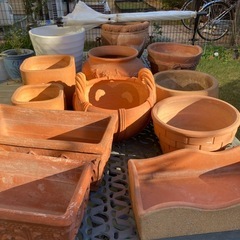 素焼きの植木鉢　白い鉢の画像