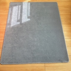 カーペット2枚セットの画像