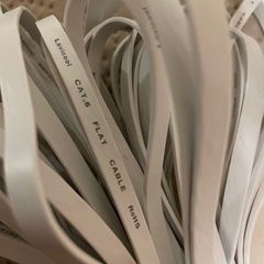 LANケーブル 30メートル cat6 フラットケーブル ホワイト　の画像