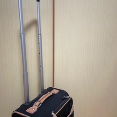 キャリーバック　スーツケースの画像