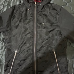 ラブレスダウンジャケットの画像