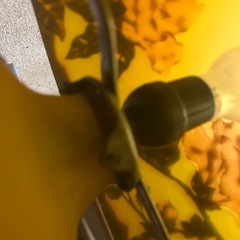 高さ35㎝【希少】【特大】エミールガレ風　レプリカ　ランプ　卓上照明の画像