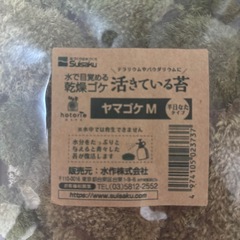 活きている苔の画像