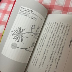 語学　中古　　できる人は右耳を使っているCD無し　の画像