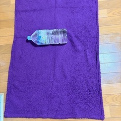 12/18✩
山善✩本日中取引成立(予約でも可)でオマケ有りに更にー20%引き✩最終値下！動作済【首振り機能ヒーター】の画像