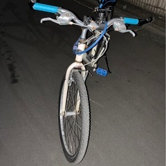 GIANT 自転車の画像