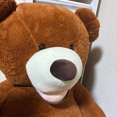 くま　ぬいぐるみ　特大の画像