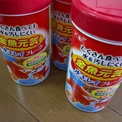 金魚用エサたくさんセットの画像