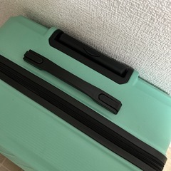 キャリーバックLサイズの画像