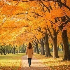 散歩、ウォーキング