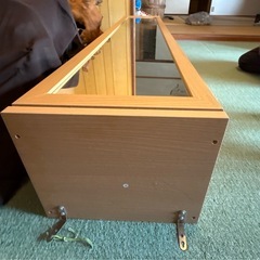 木目調　全身姿見のミラー付き収納ケースの画像