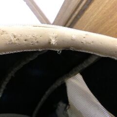 【無料】DAISUKI ダイスキ リュック型キャリーバッグ難あり犬猫キャリーペット用品の画像