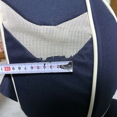 【無料】DAISUKI ダイスキ リュック型キャリーバッグ難あり犬猫キャリーペット用品の画像