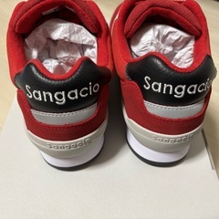 サンガッチョの画像