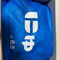 サンガッチョの画像