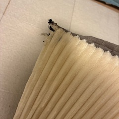 　ペット用スロープの画像