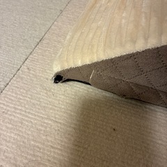 　ペット用スロープの画像