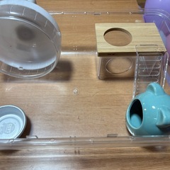 ハムスター　
ルーミィグランスペースクリアの画像